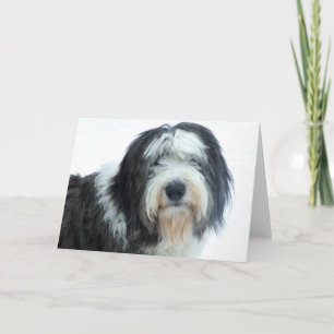 Old English Sheepdog Card