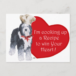 Old English Sheepdog Chef of Love Postcard
