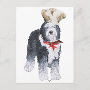 Old English Sheepdog Chef of Love Postcard