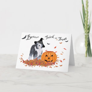 Old English Sheepdog Halloween Card