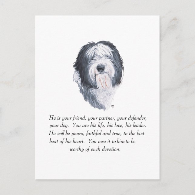 Old English Sheepdog Keepsake - Male Postcard (Front)