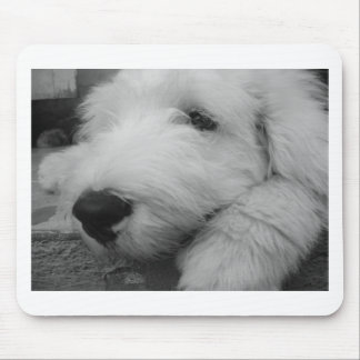 Old English Sheepdog Mouse Pad