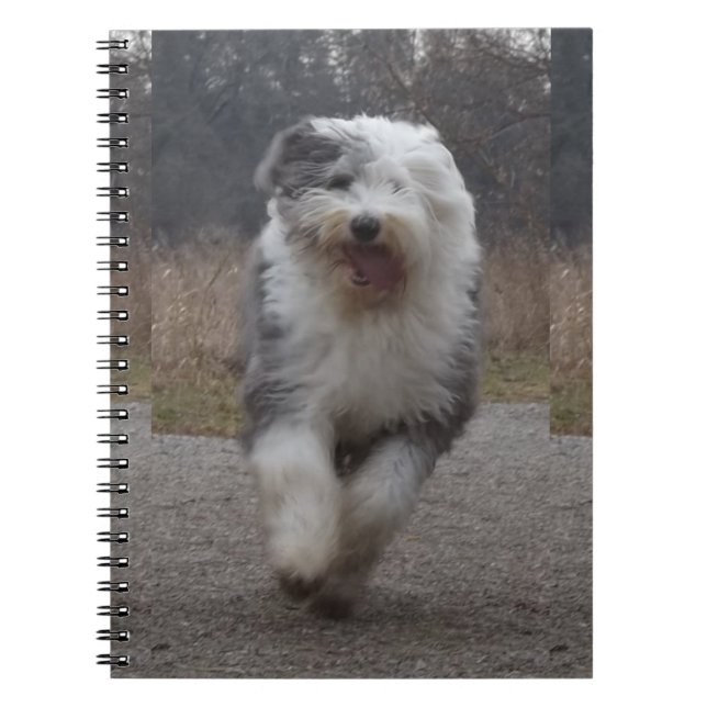 Old English Sheepdog Notebook - Run Dog! (Front)