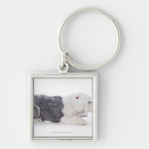 Old English Sheepdog on white background Keychain