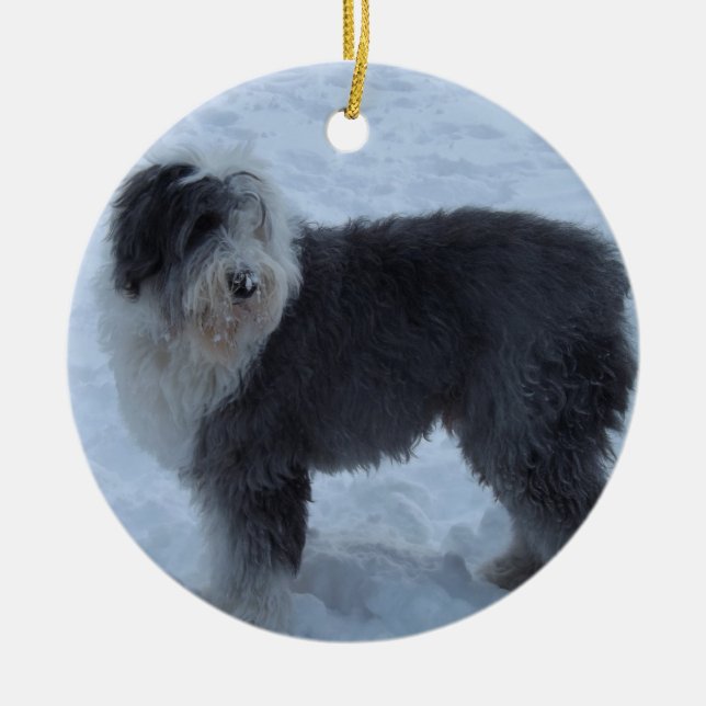 Old English Sheepdog Ornament - Snow Dog! (Front)