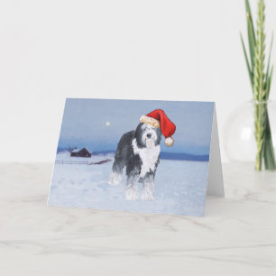 Old English Sheepdog Santa Hat Holiday Card