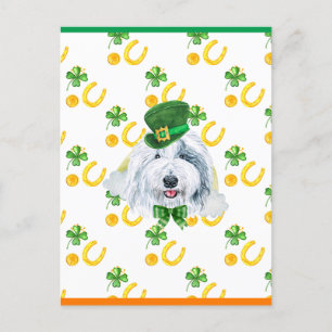 Old English Sheepdog Shamrock St. Patricks Day Holiday Postcard