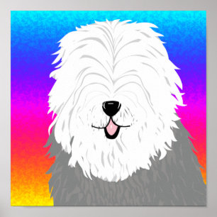 Old English Sheepdog (with covered eyes) Poster