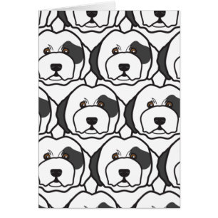 Old English Sheepdogs