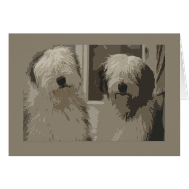 Old English Sheepdogs (Front Horizontal)