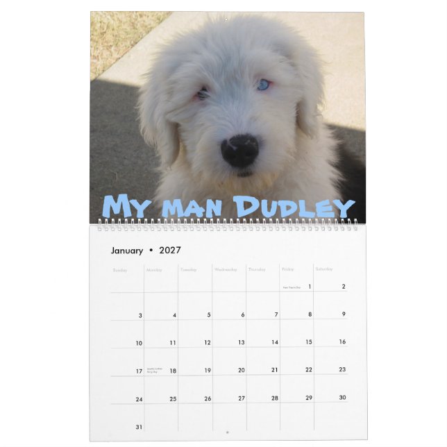 Old English Sheepdogs Calendar (Jan 2027)