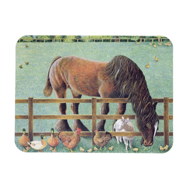 Old Faithful Magnet (Horizontal)