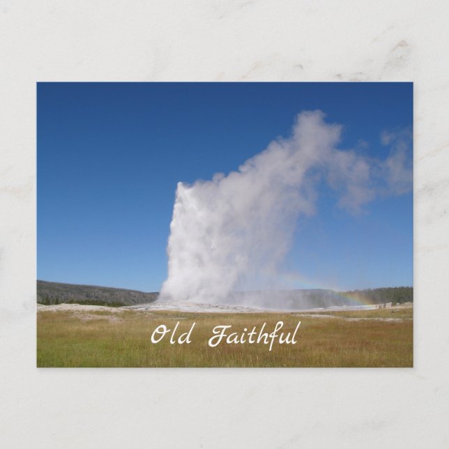 Old Faithful postcard (Front)