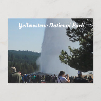 Old Faithful Postcard