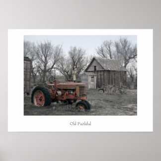 Old Faithful Poster