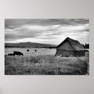 Old Farm House Poster