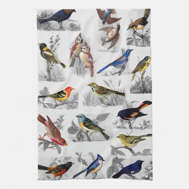 Old Fashioned Birds Kitchen Towel (Vertical)