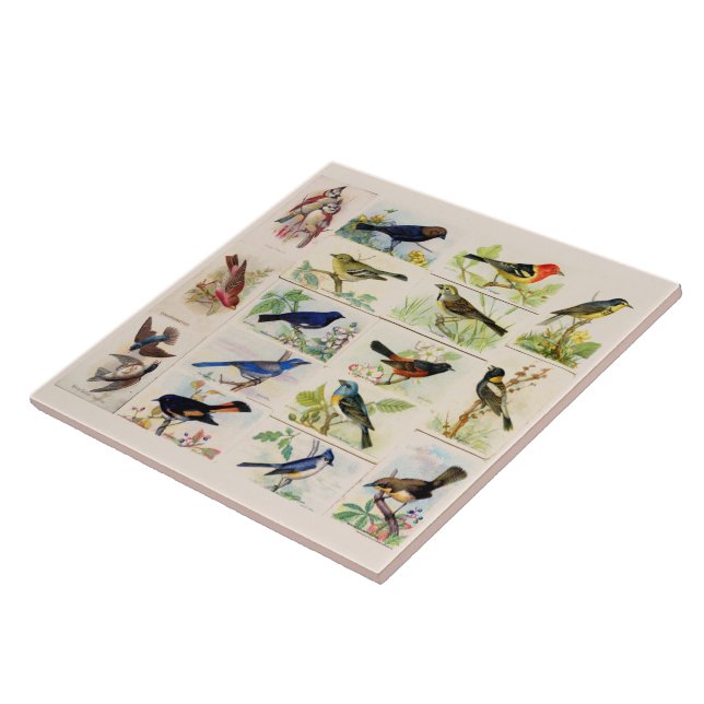 Old Fashioned Birds Tile (Side)