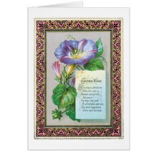 Old-fashioned Christmas, Morning glory