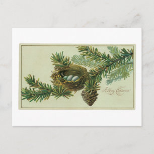 Old-fashioned Christmas, Pine wood Holiday Postcard