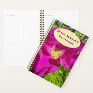 Old-fashioned Climbing Planner