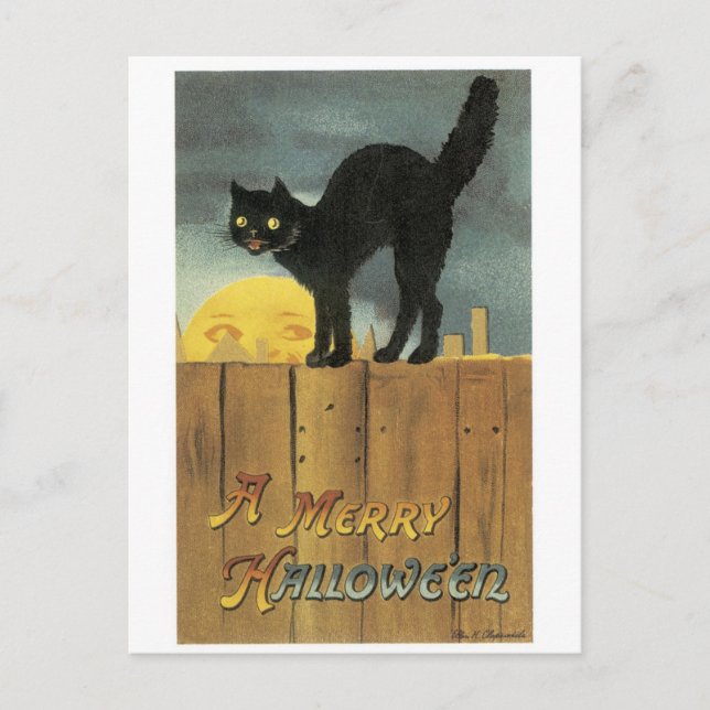 Old-fashioned Halloween, Black cat & Full moon Postcard (Front)