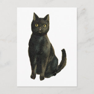 Old Fashioned Halloween Black Cat Postcard