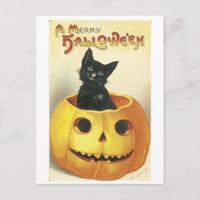 Old-fashioned Halloween Jack-o'-lantern, Black cat Postcard (Front)