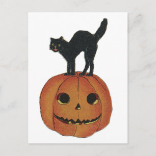 Old Fashioned Halloween Jack-O-Lantern & Black Cat Postcard