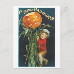Old-fashioned Halloween, Jack-o'-lantern Scarecrow Postcard
