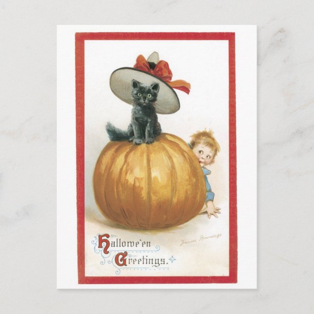 Old-fashioned Halloween, Witch cat Postcard (Front)
