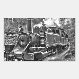 Old Fashioned Narrow Gauge Steam Train Sticker