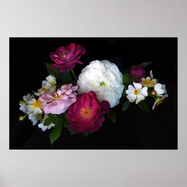Old fashioned Roses Poster (Front)