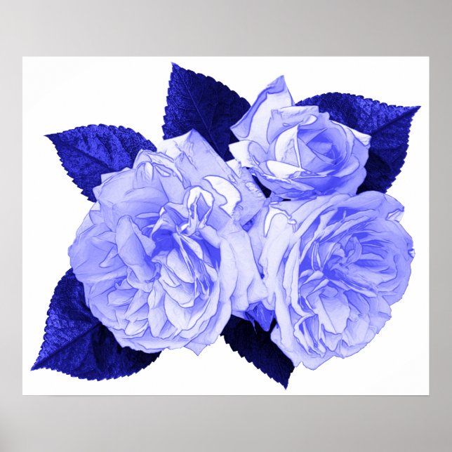 Old Fashioned Roses Poster (Front)