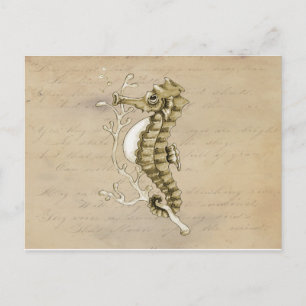 Old Fashioned Seahorse on Vintage Paper Background Postcard