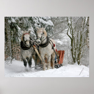 Old Fashioned Sleigh Ride Poster
