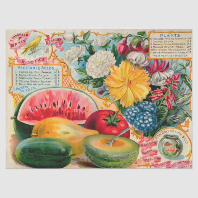 Old fashioned vegetable fruit flower seed advertis tissue paper (Front)