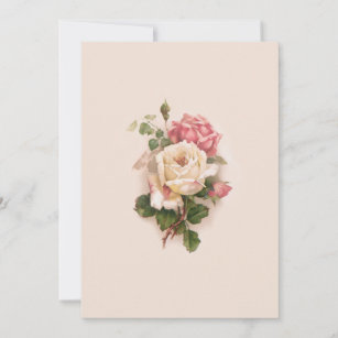 Old Fashioned White/Pink Roses-Buff Background Card