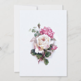 Old Fashioned White/Pink Roses-White Background Card