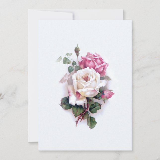 Old Fashioned White/Pink Roses-White Background Card (Front)