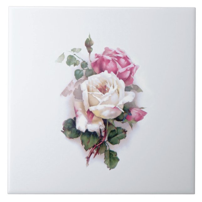 Old Fashioned White/Pink Roses-White Background Tile (Front)