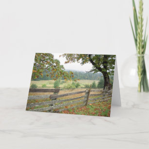 Old Fence On A Farm Card