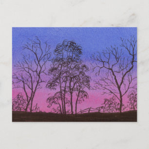 Old Fence Row Postcard