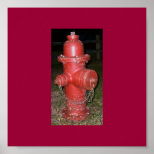 Old Fire Hydrant Poster