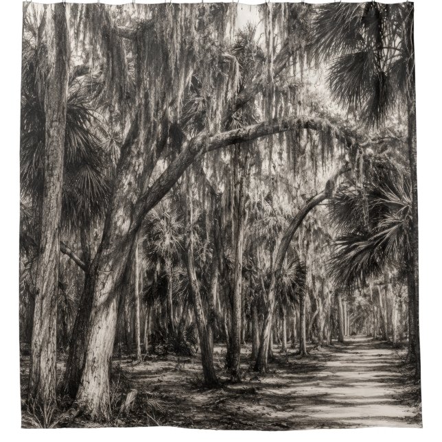 Old Florida Oak Hammock Graphite Sketch | Rockledg (Front)