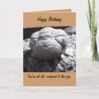 OLD FOSSIL FACE birthday card