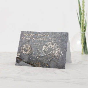 Old Fossil Greeting Card