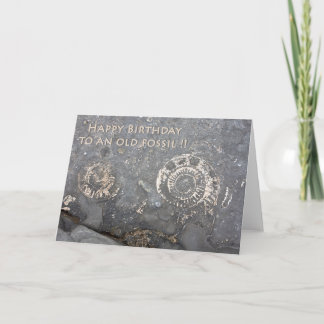 Old Fossil Greeting Card