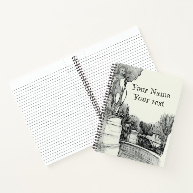 Old fountain in the park with sculpture boy notebook (Inside)