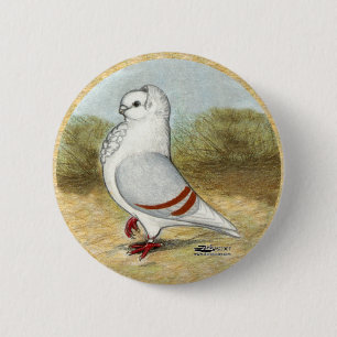 Old German Owl Pigeon In the Round 2 Inch Round Button